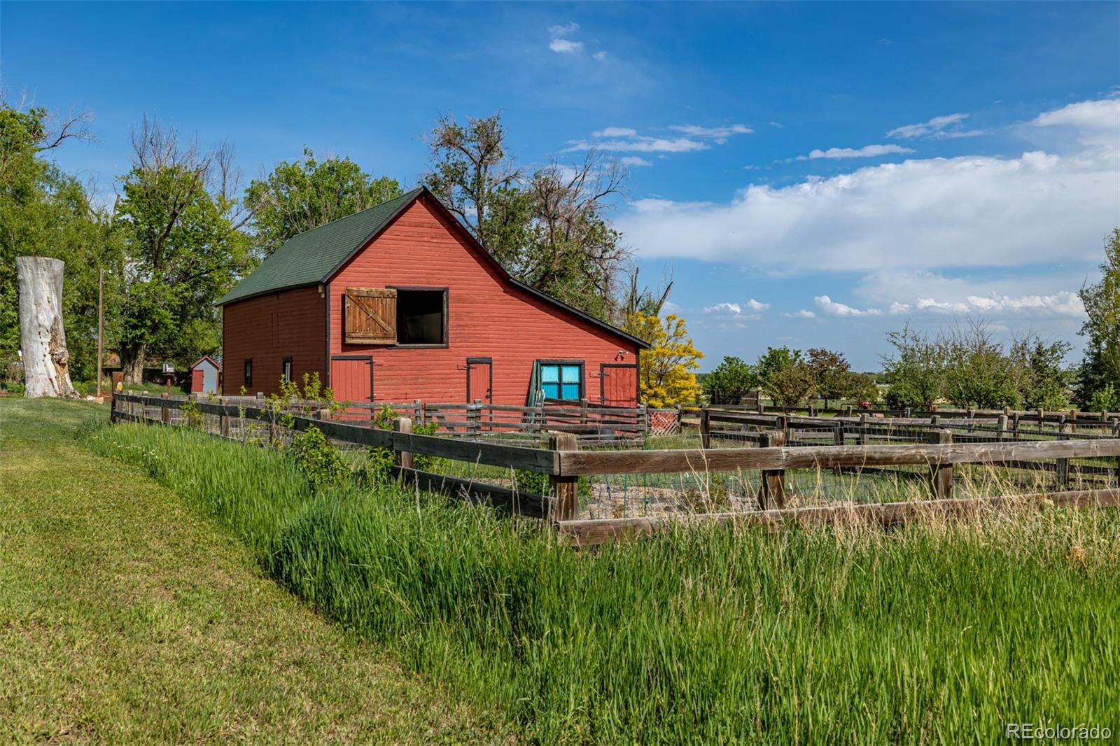 MLS Image #35 for 13183 n 95th street,longmont, Colorado