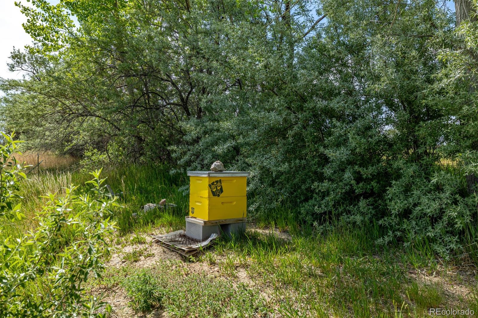 MLS Image #36 for 13183 n 95th street,longmont, Colorado