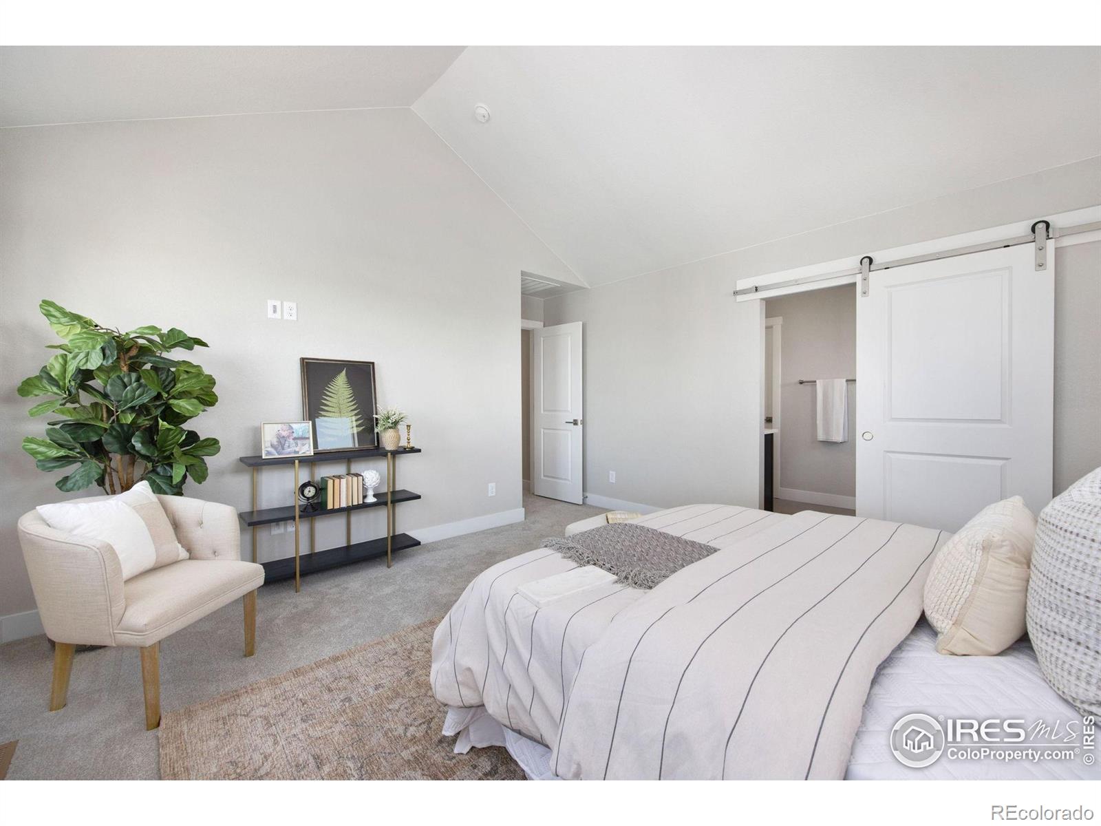 MLS Image #14 for 5006  rendezvous parkway,timnath, Colorado