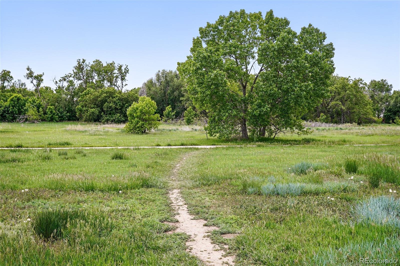 MLS Image #40 for 4674  winona place,broomfield, Colorado