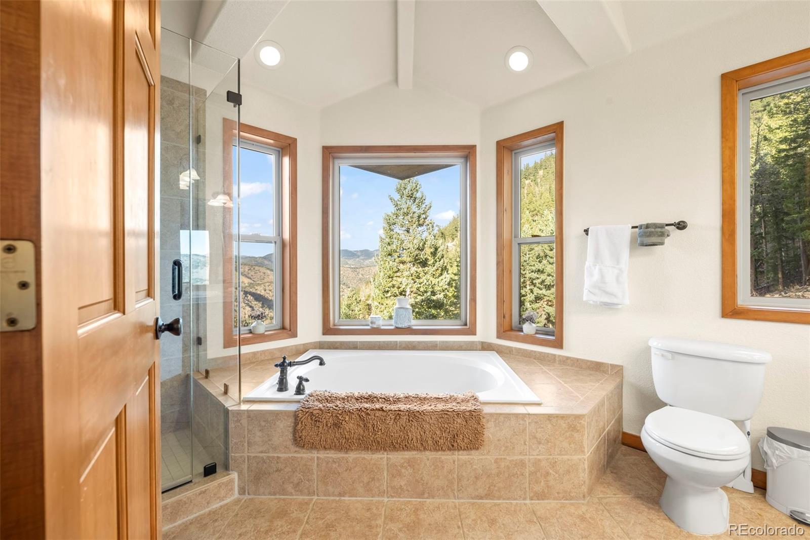 MLS Image #34 for 900  sawmill creek road,evergreen, Colorado