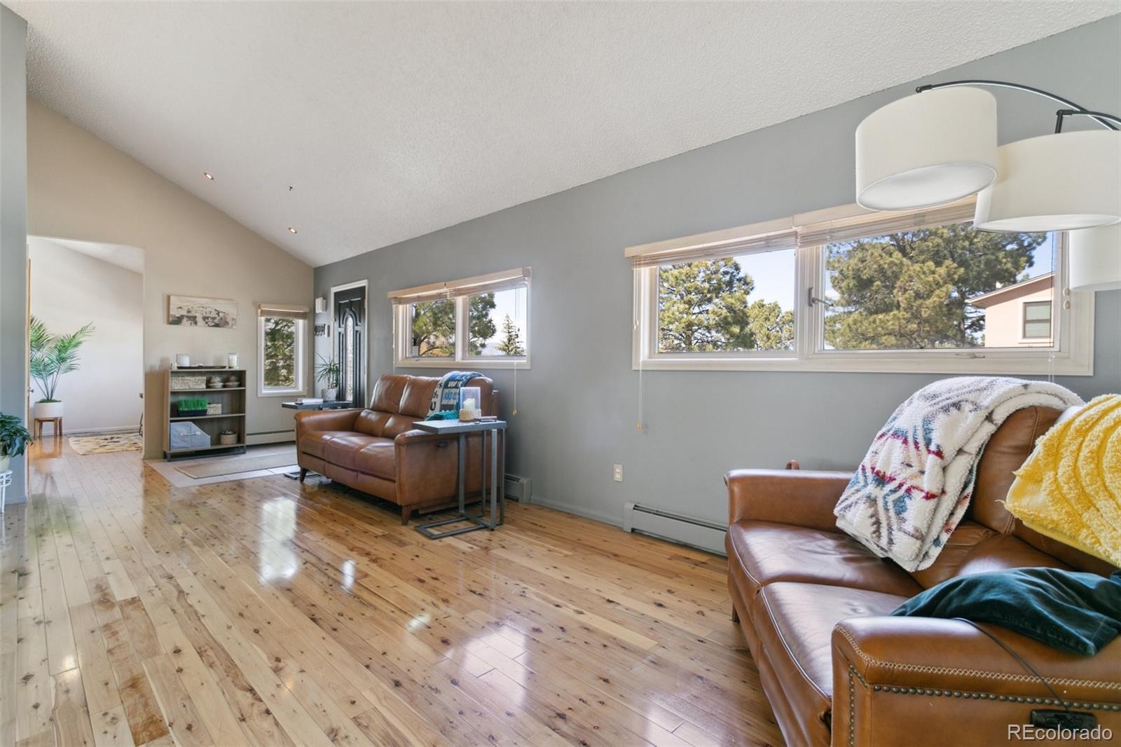 MLS Image #7 for 1927  brookdale drive,colorado springs, Colorado
