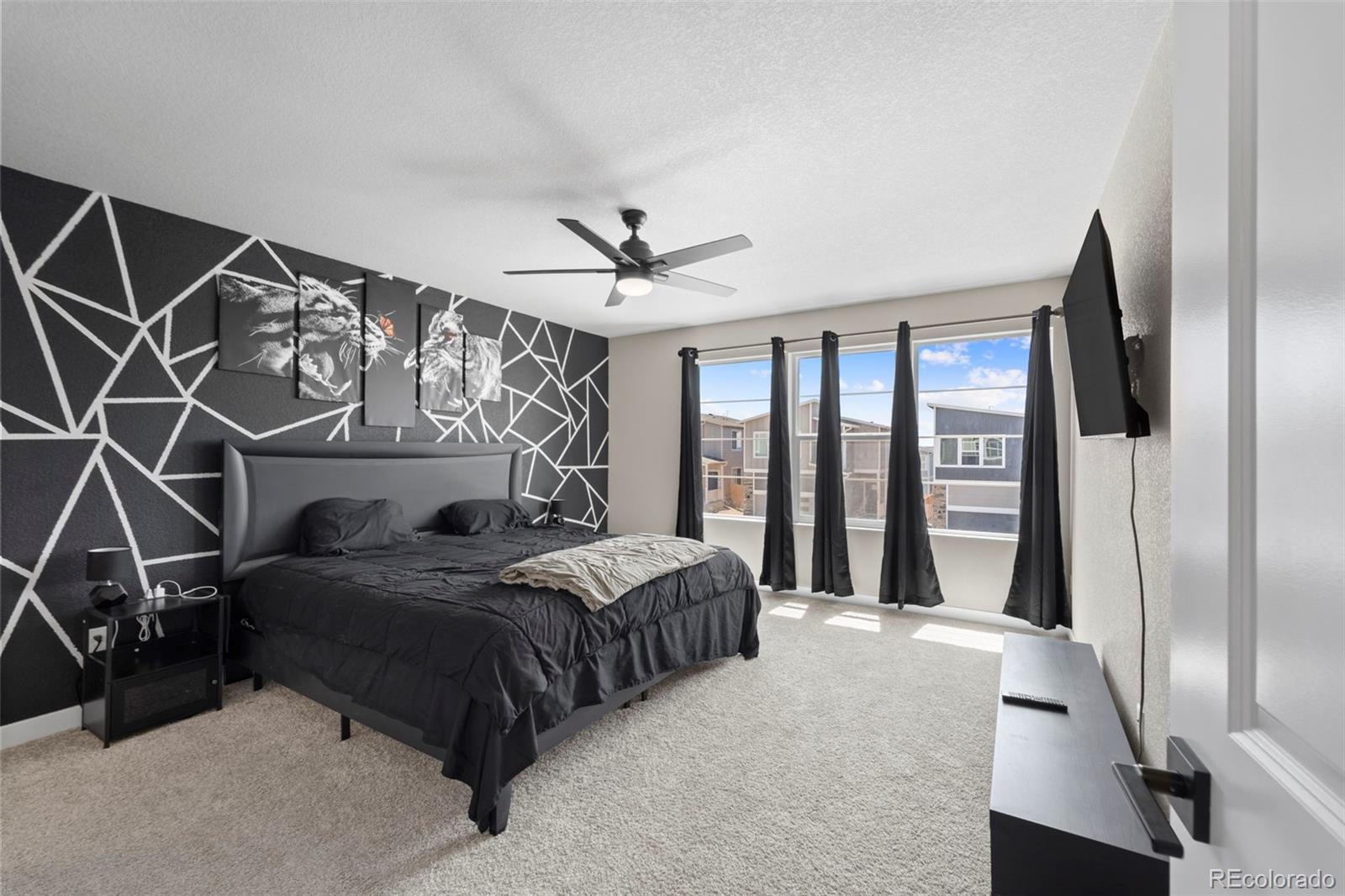MLS Image #16 for 11456  sanderling street,colorado springs, Colorado