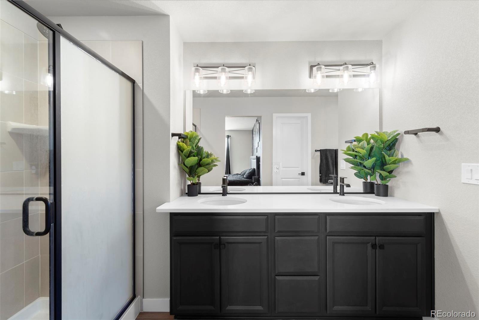 MLS Image #18 for 11456  sanderling street,colorado springs, Colorado