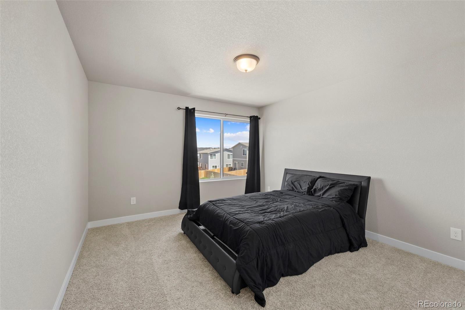 MLS Image #20 for 11456  sanderling street,colorado springs, Colorado