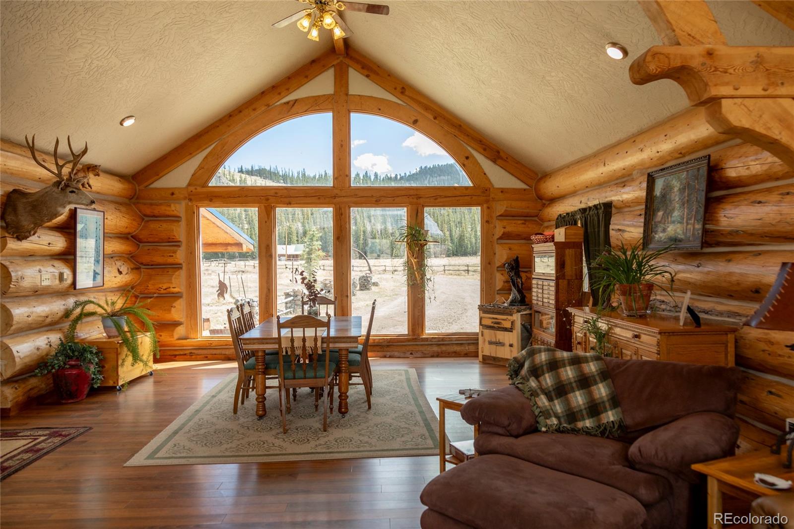MLS Image #1 for 108  forest road,creede, Colorado