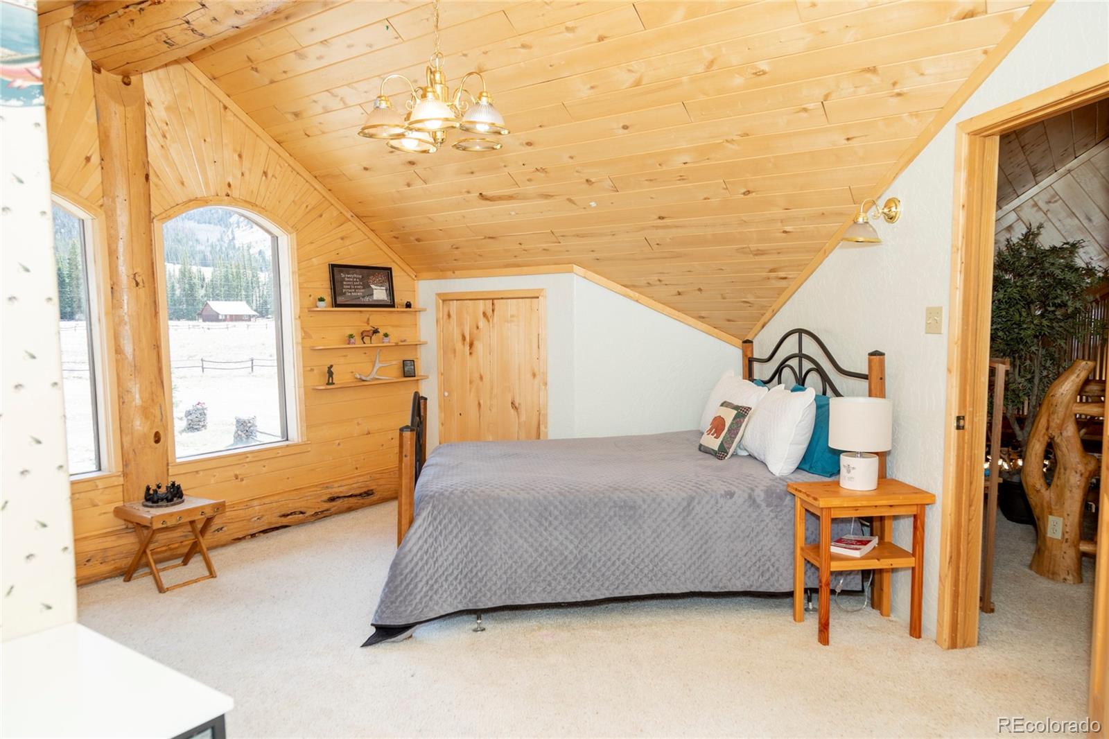 MLS Image #25 for 108  forest road,creede, Colorado