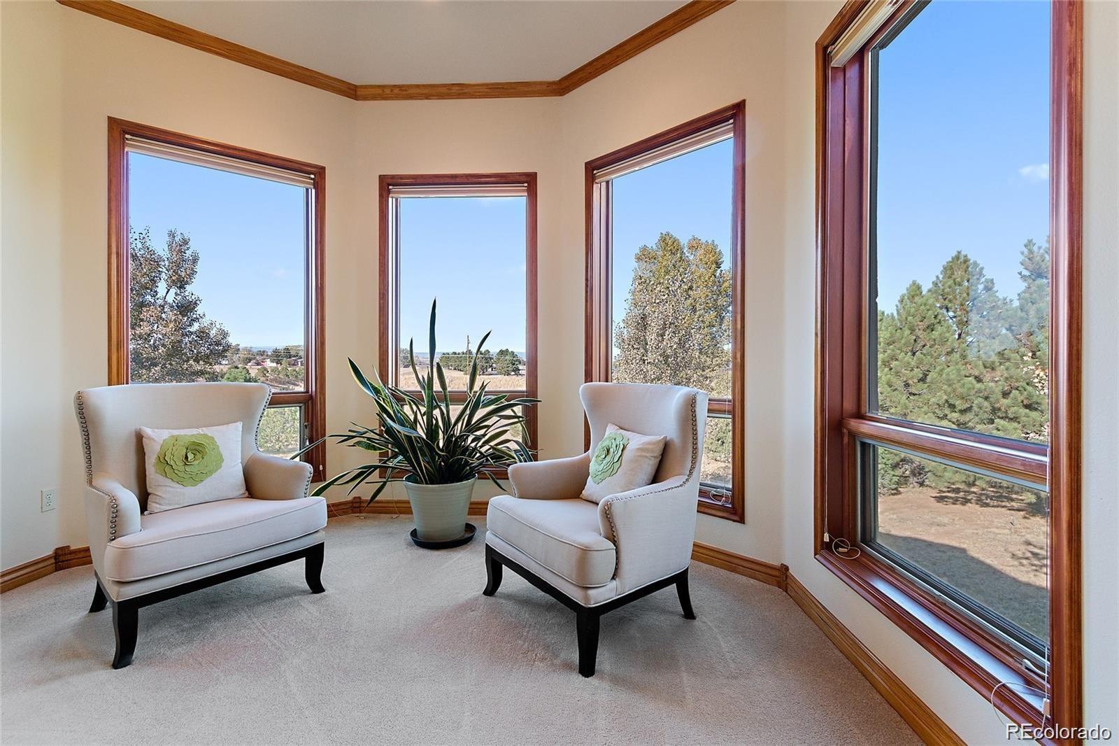MLS Image #19 for 11541  warrington court,parker, Colorado