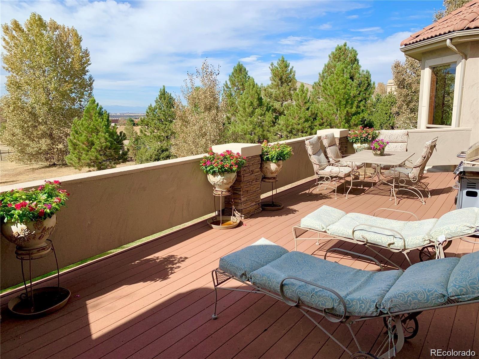 MLS Image #28 for 11541  warrington court,parker, Colorado
