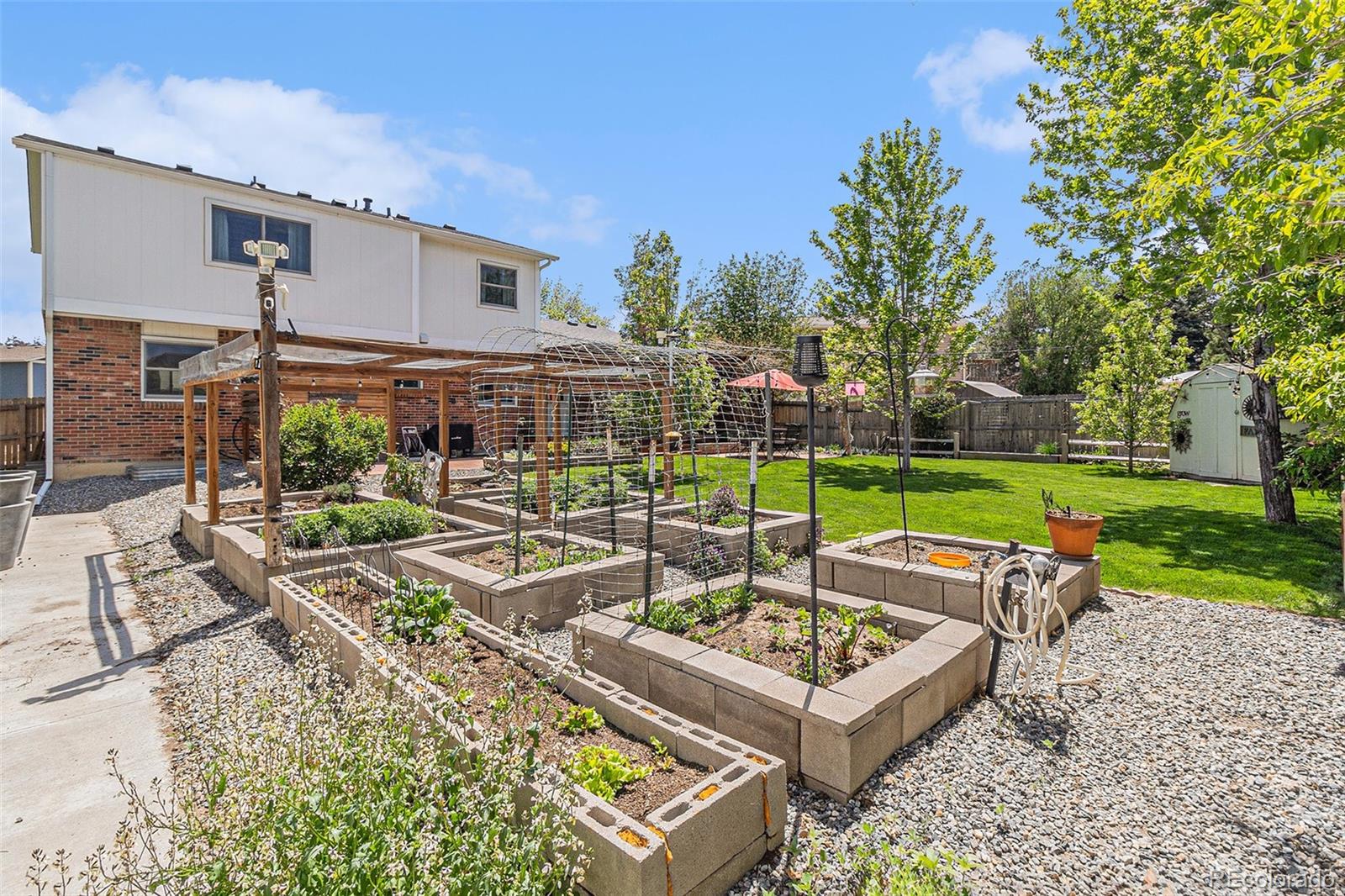 MLS Image #14 for 6731  devinney street,arvada, Colorado