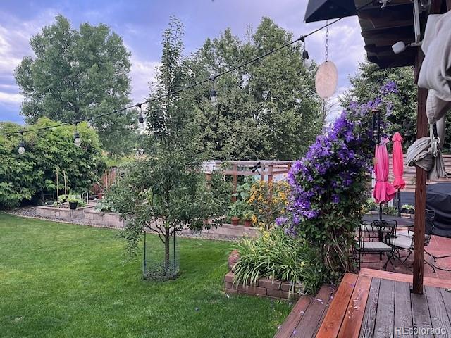 MLS Image #18 for 6731  devinney street,arvada, Colorado