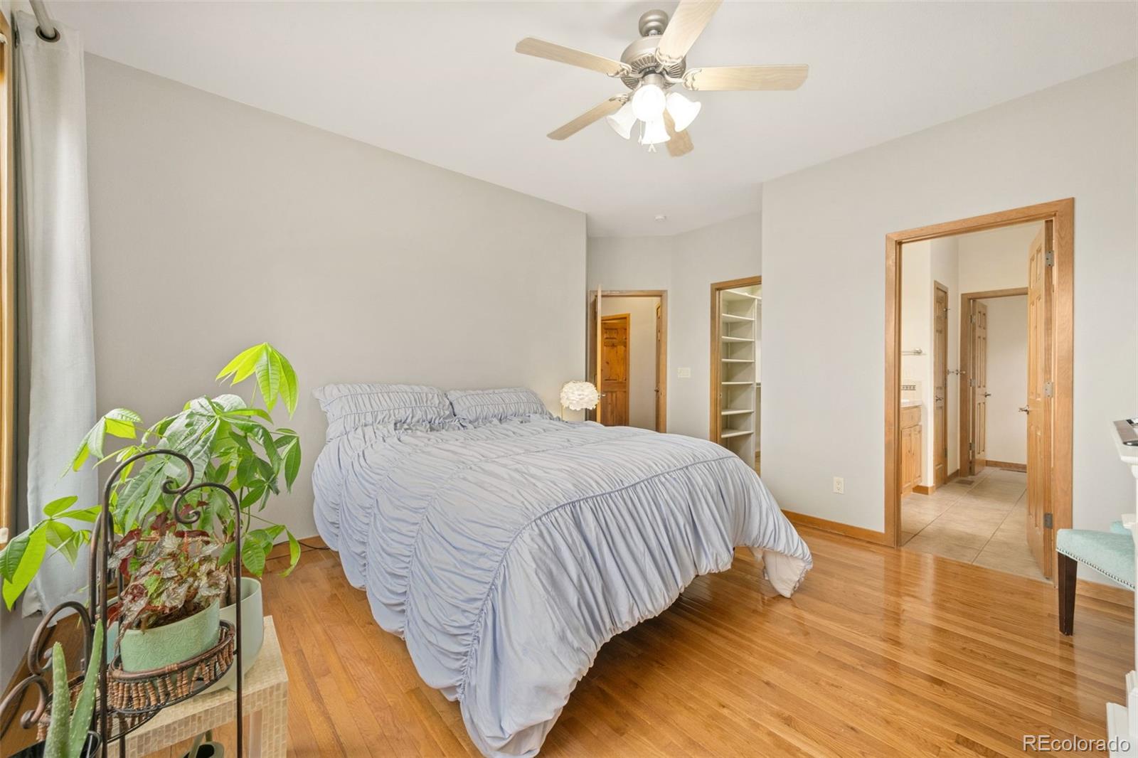 MLS Image #12 for 4697  brumby lane,fort collins, Colorado