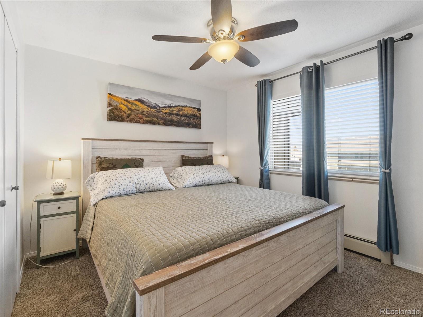 MLS Image #10 for 1263  straight creek drive,dillon, Colorado