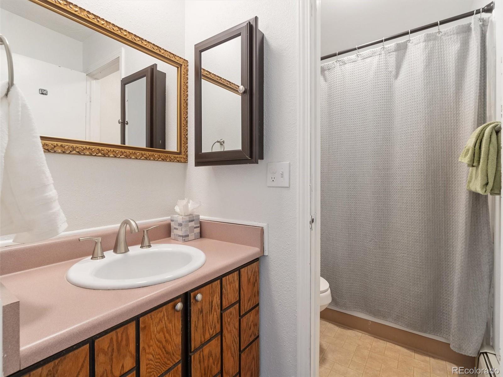 MLS Image #11 for 1263  straight creek drive,dillon, Colorado