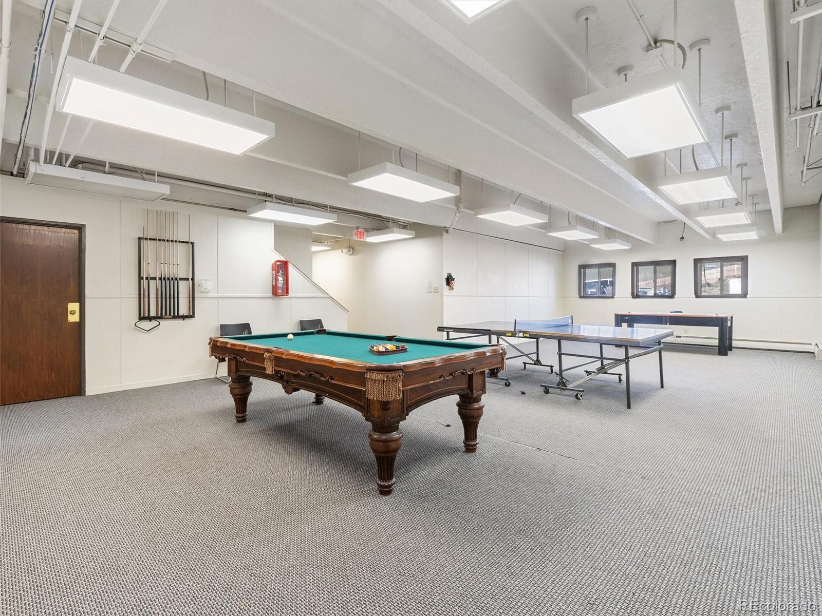 MLS Image #21 for 1263  straight creek drive,dillon, Colorado