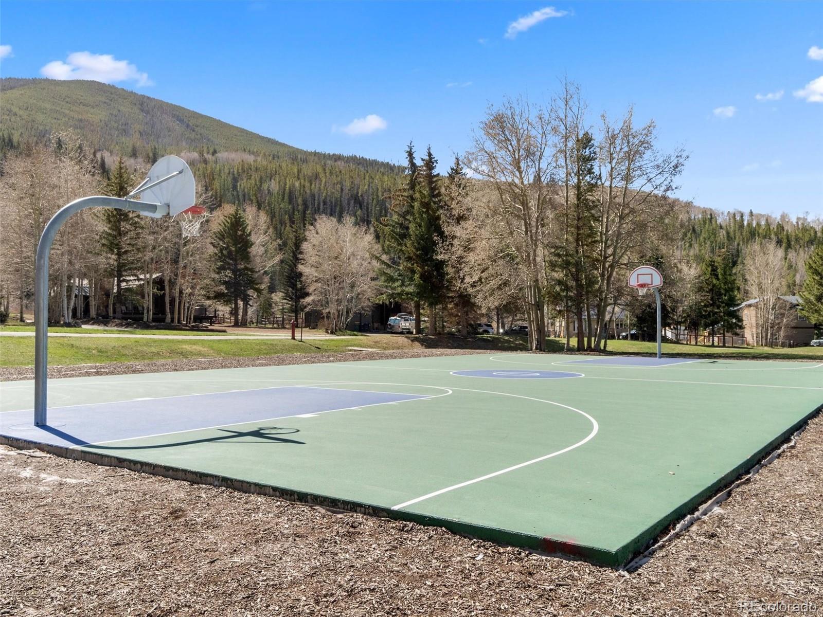 MLS Image #22 for 1263  straight creek drive,dillon, Colorado