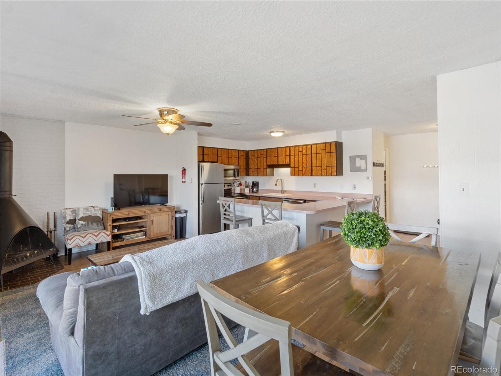 MLS Image #3 for 1263  straight creek drive,dillon, Colorado