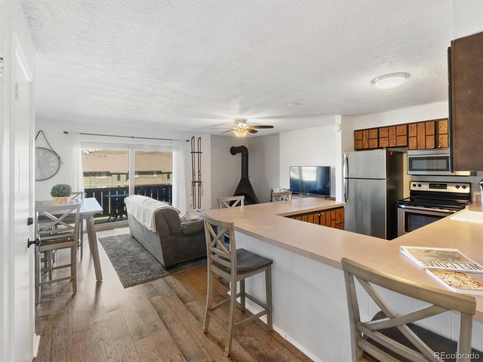 MLS Image #4 for 1263  straight creek drive,dillon, Colorado