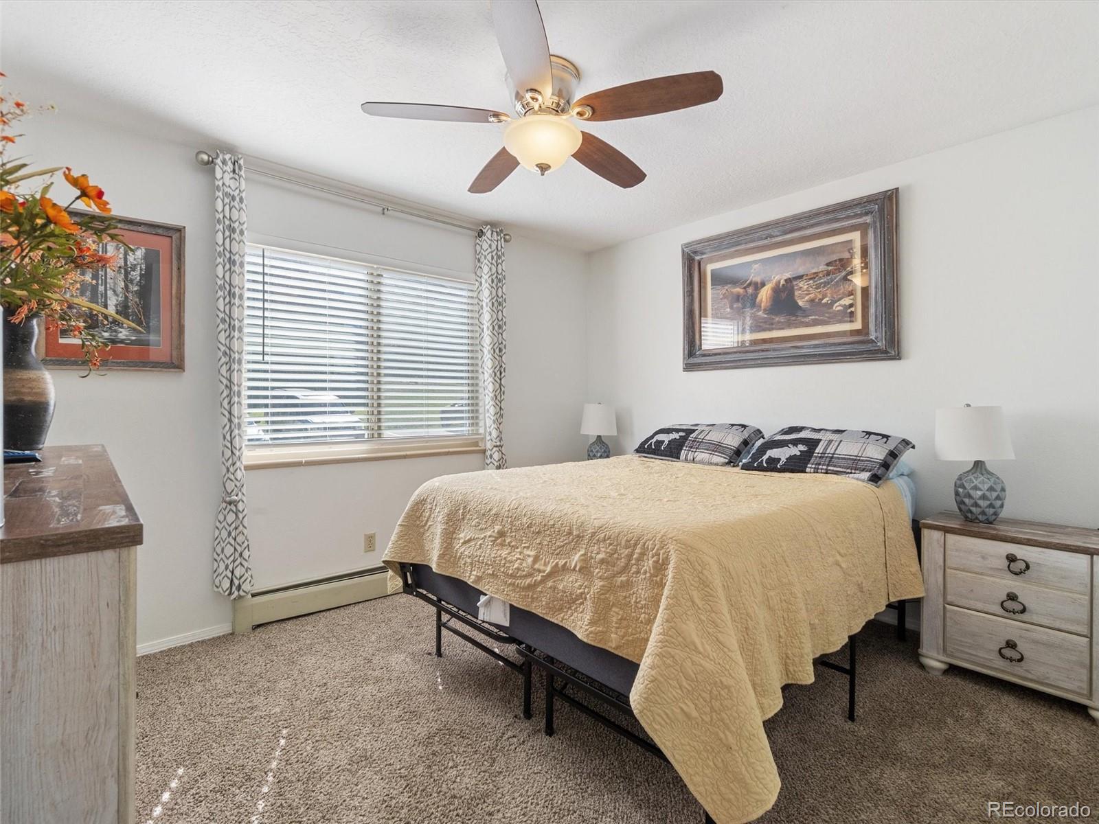 MLS Image #8 for 1263  straight creek drive,dillon, Colorado