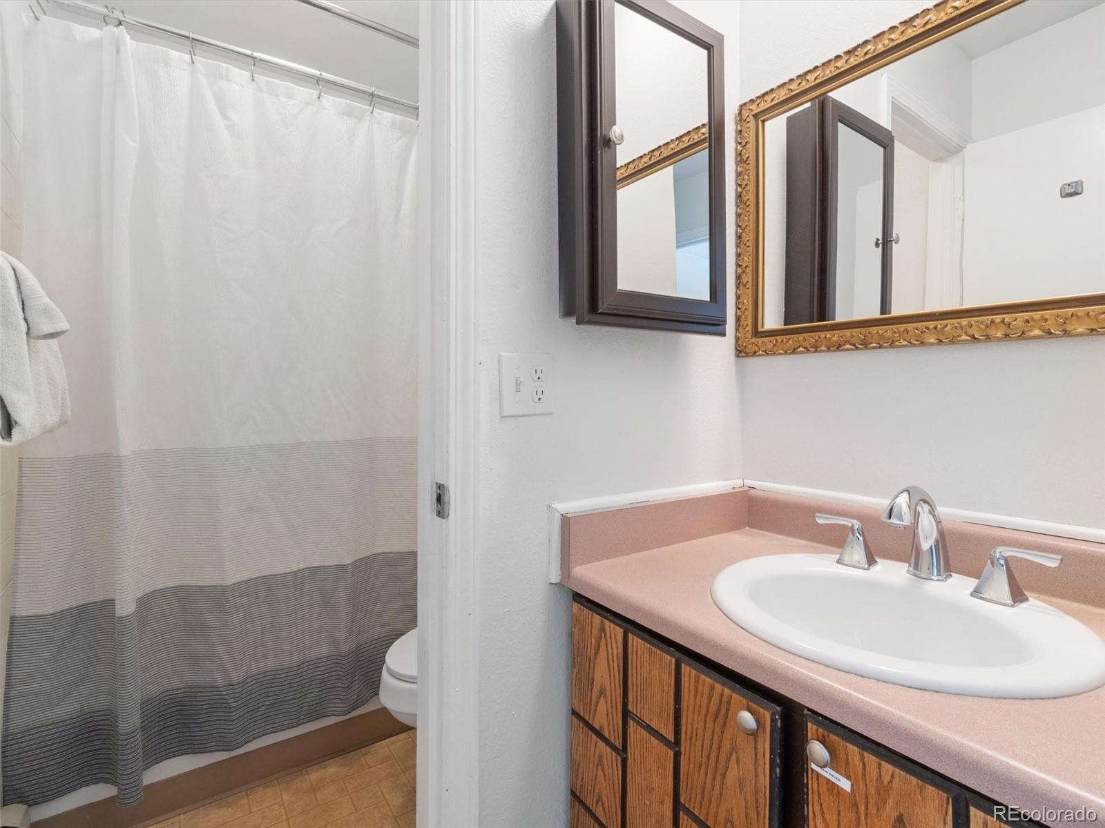 MLS Image #9 for 1263  straight creek drive,dillon, Colorado