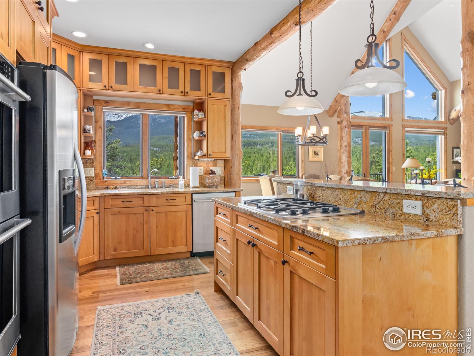MLS Image #13 for 2430  big owl road,allenspark, Colorado