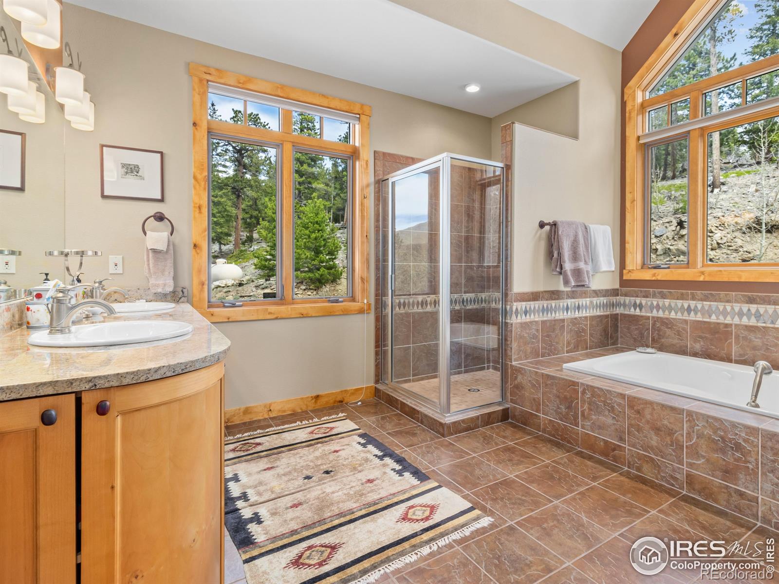 MLS Image #17 for 2430  big owl road,allenspark, Colorado