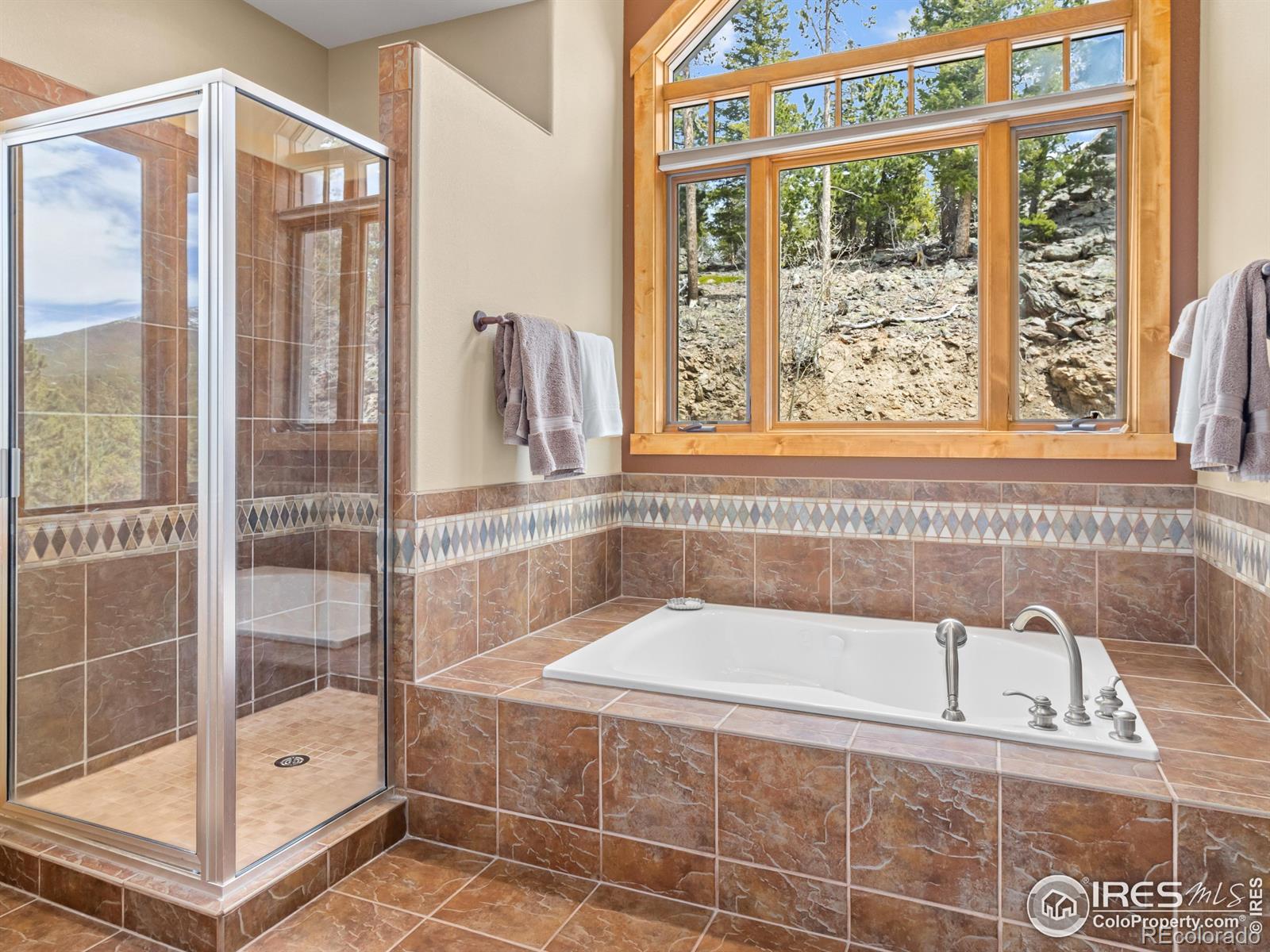 MLS Image #18 for 2430  big owl road,allenspark, Colorado