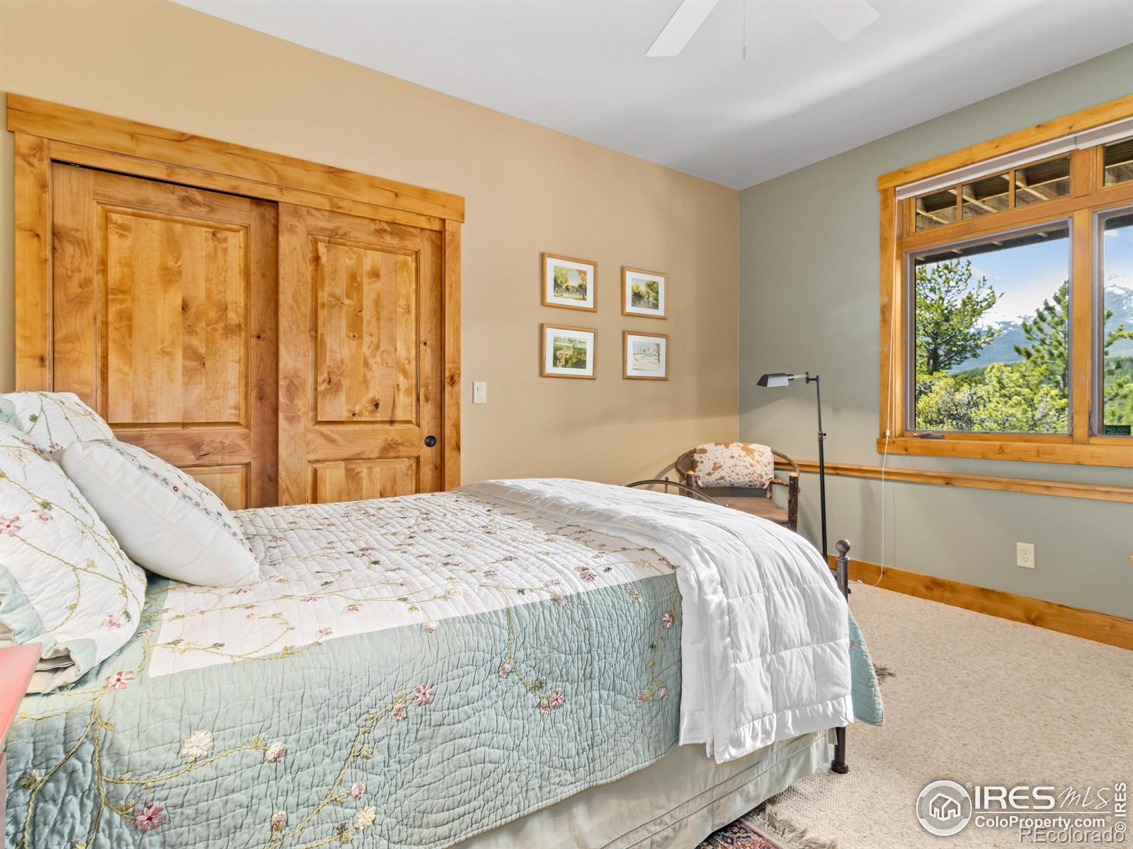 MLS Image #32 for 2430  big owl road,allenspark, Colorado