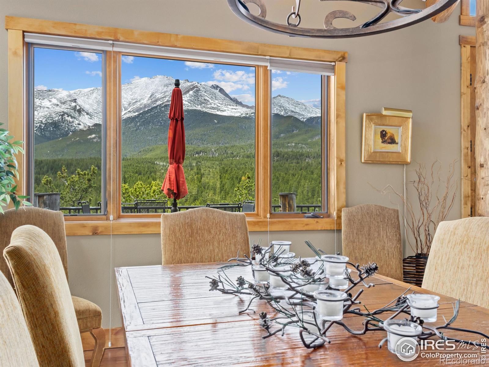 MLS Image #8 for 2430  big owl road,allenspark, Colorado