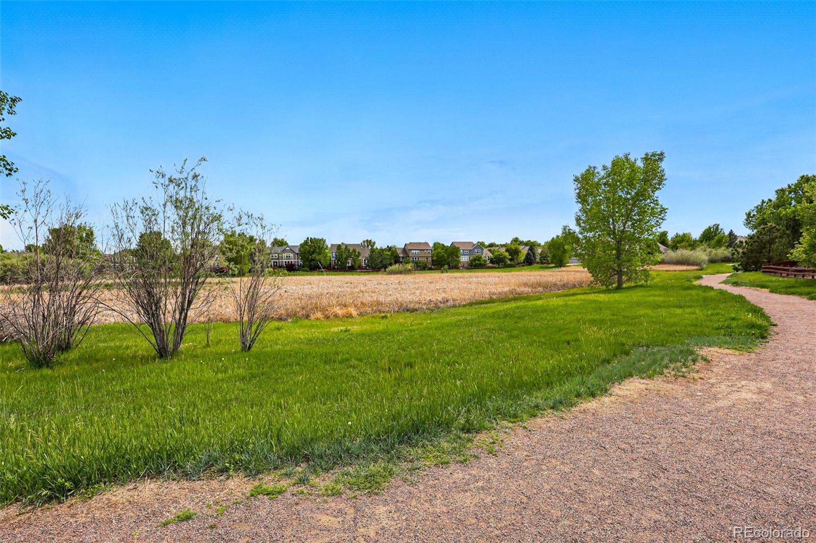 MLS Image #46 for 4915  sage brush drive,broomfield, Colorado