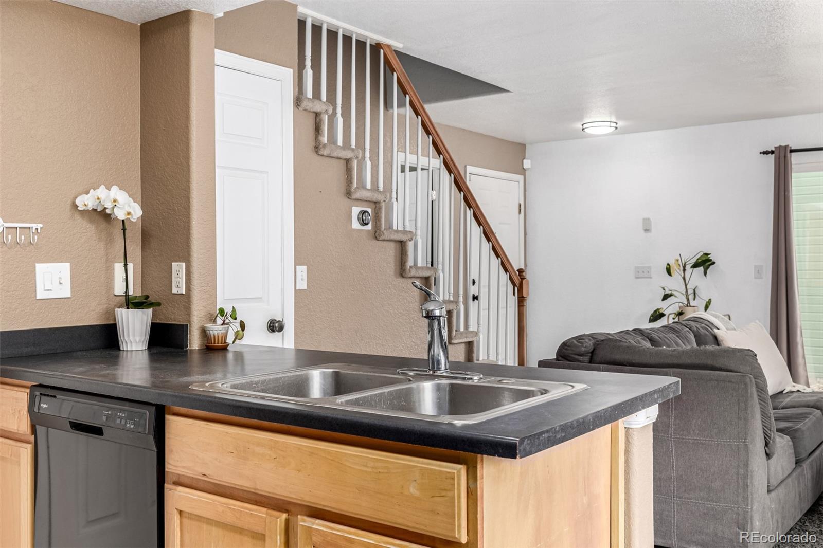 MLS Image #22 for 3940  malaya street,denver, Colorado