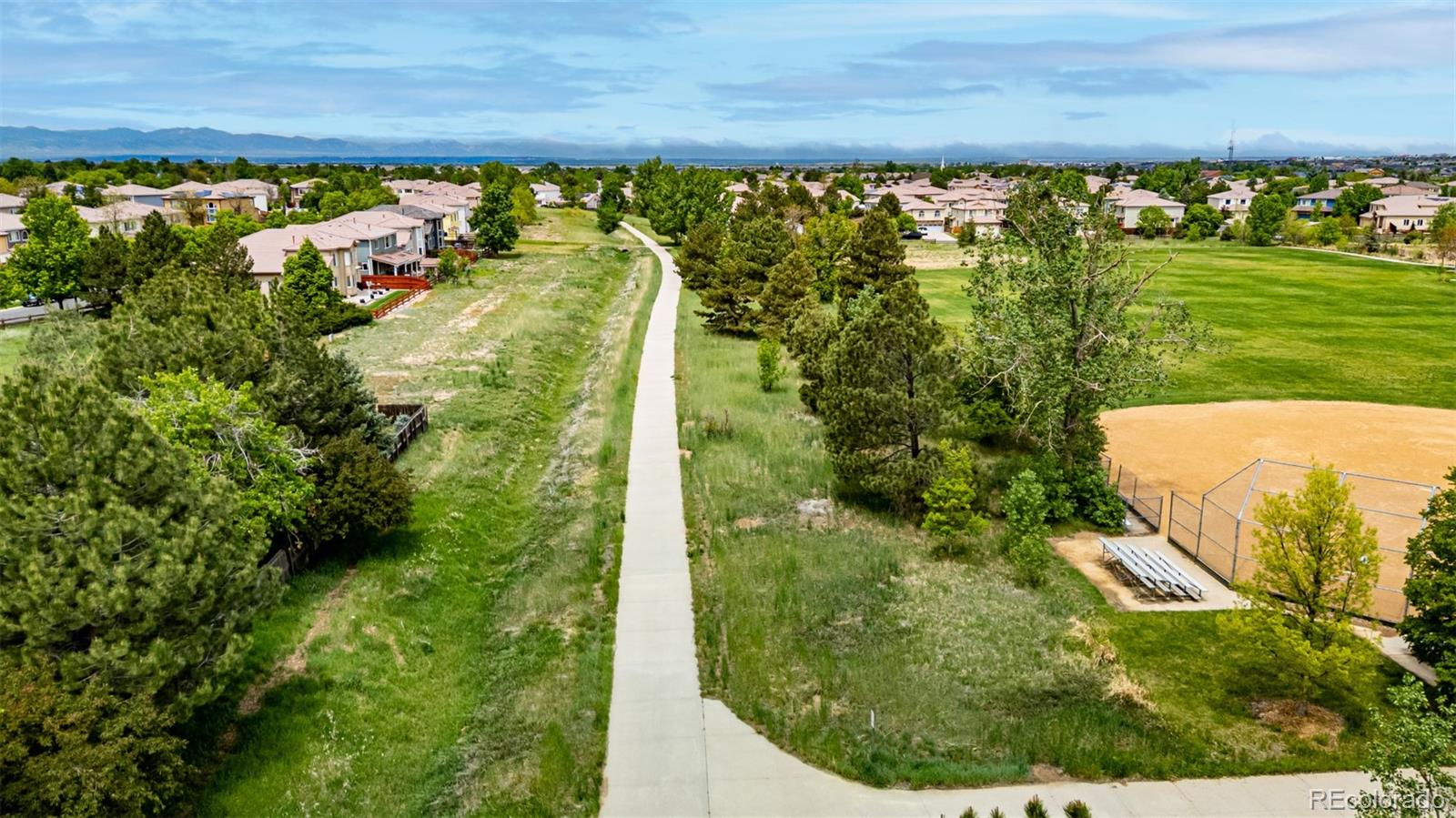 MLS Image #45 for 3940  malaya street,denver, Colorado