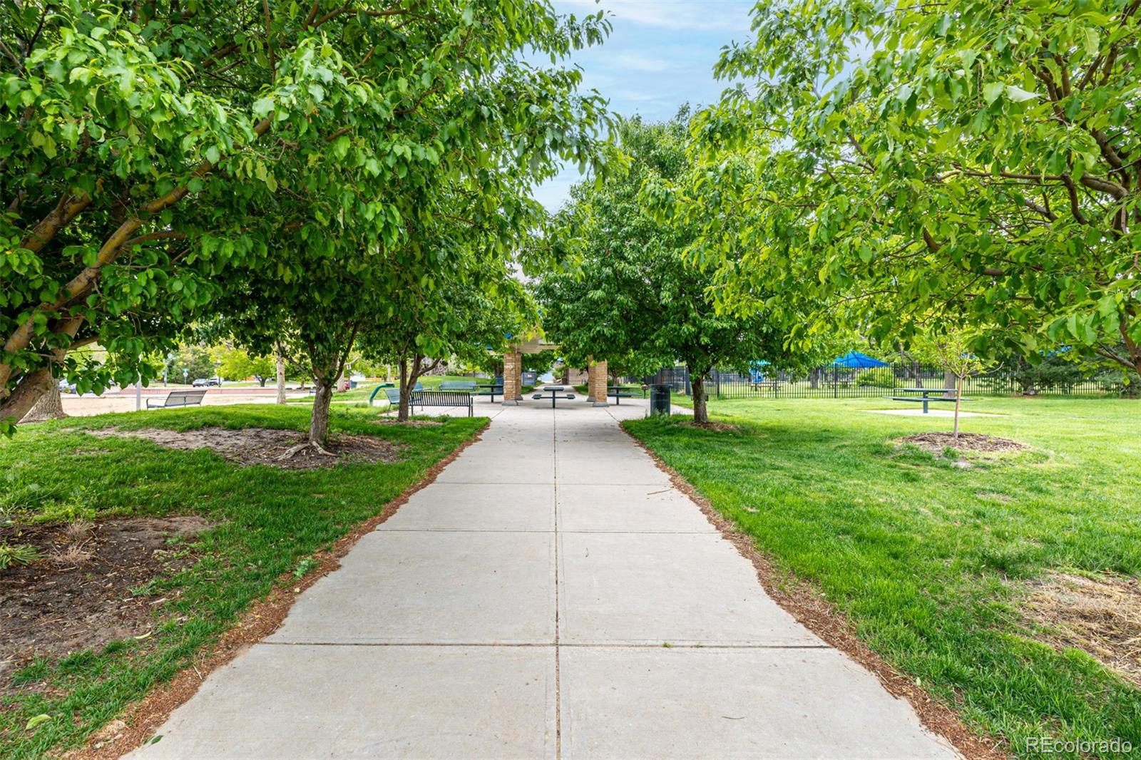 MLS Image #5 for 3940  malaya street,denver, Colorado