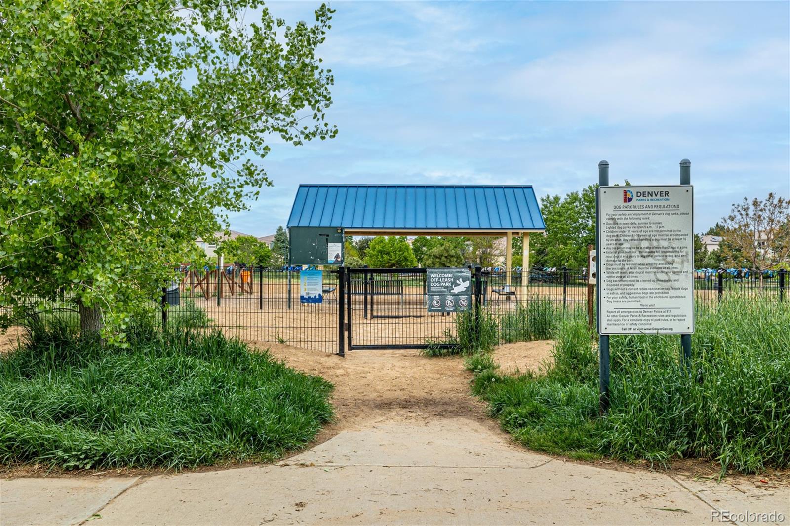 MLS Image #6 for 3940  malaya street,denver, Colorado