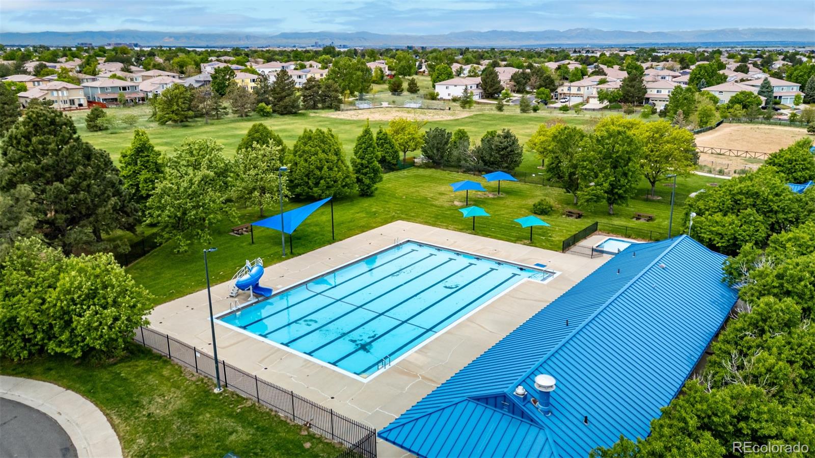 MLS Image #9 for 3940  malaya street,denver, Colorado