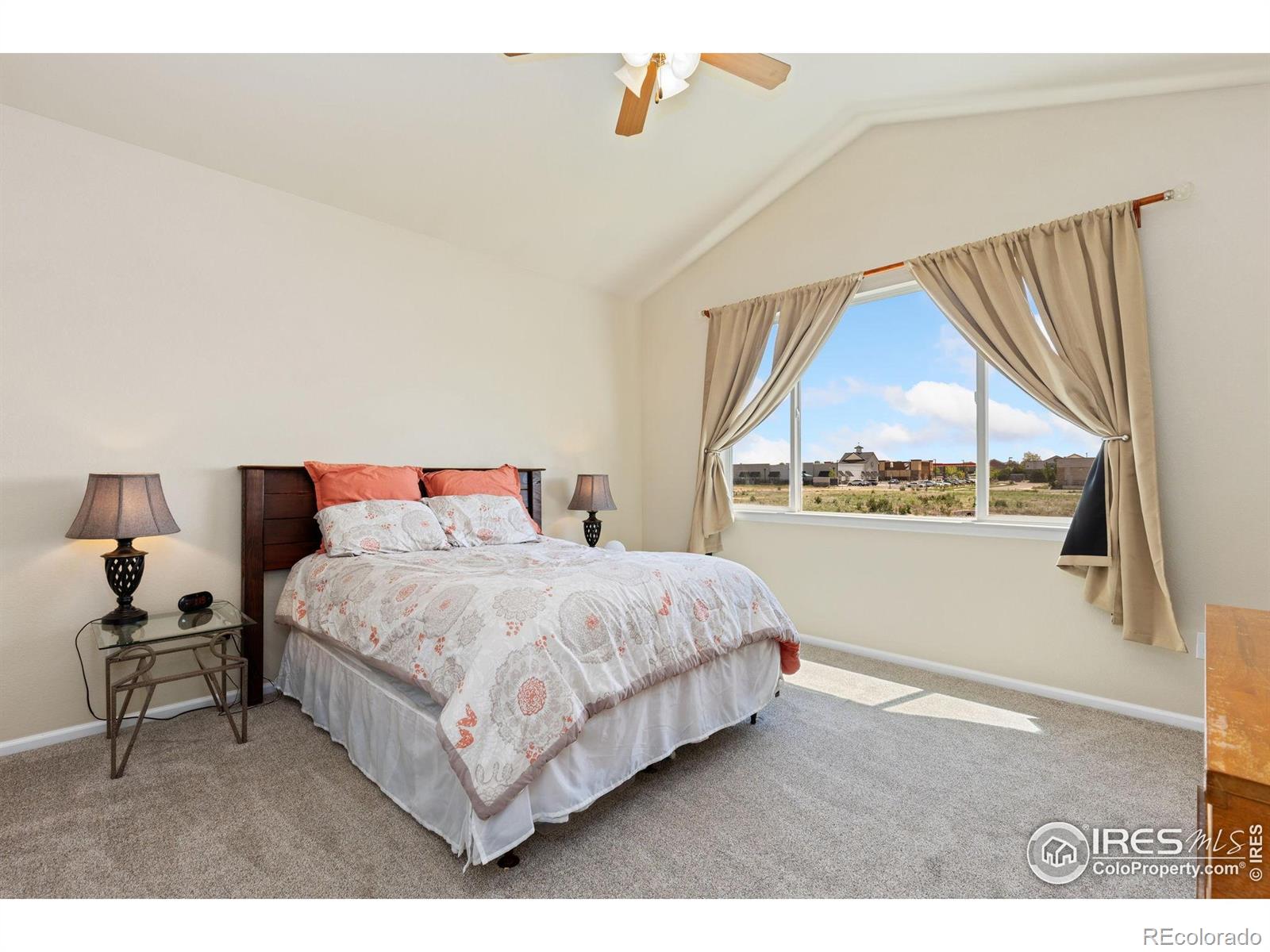 MLS Image #10 for 6054  ulysses avenue,firestone, Colorado