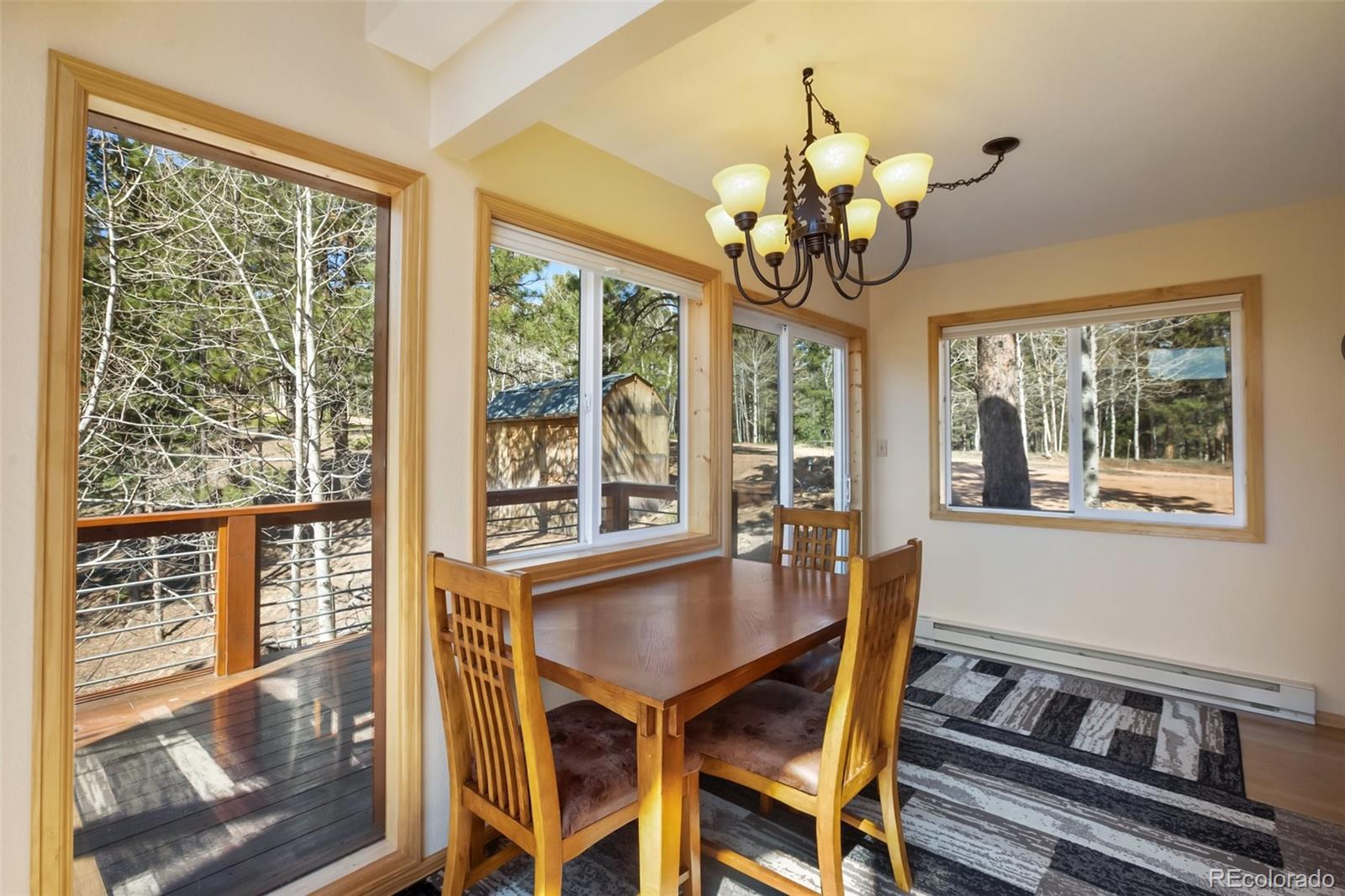 MLS Image #16 for 204  kutsu ridge road,florissant, Colorado
