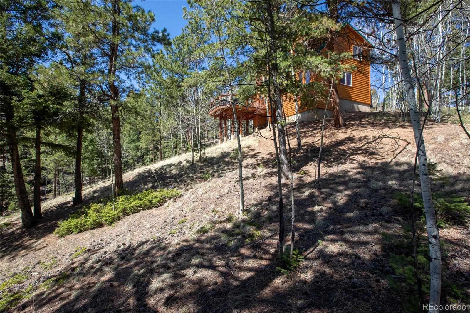 MLS Image #2 for 204  kutsu ridge road,florissant, Colorado