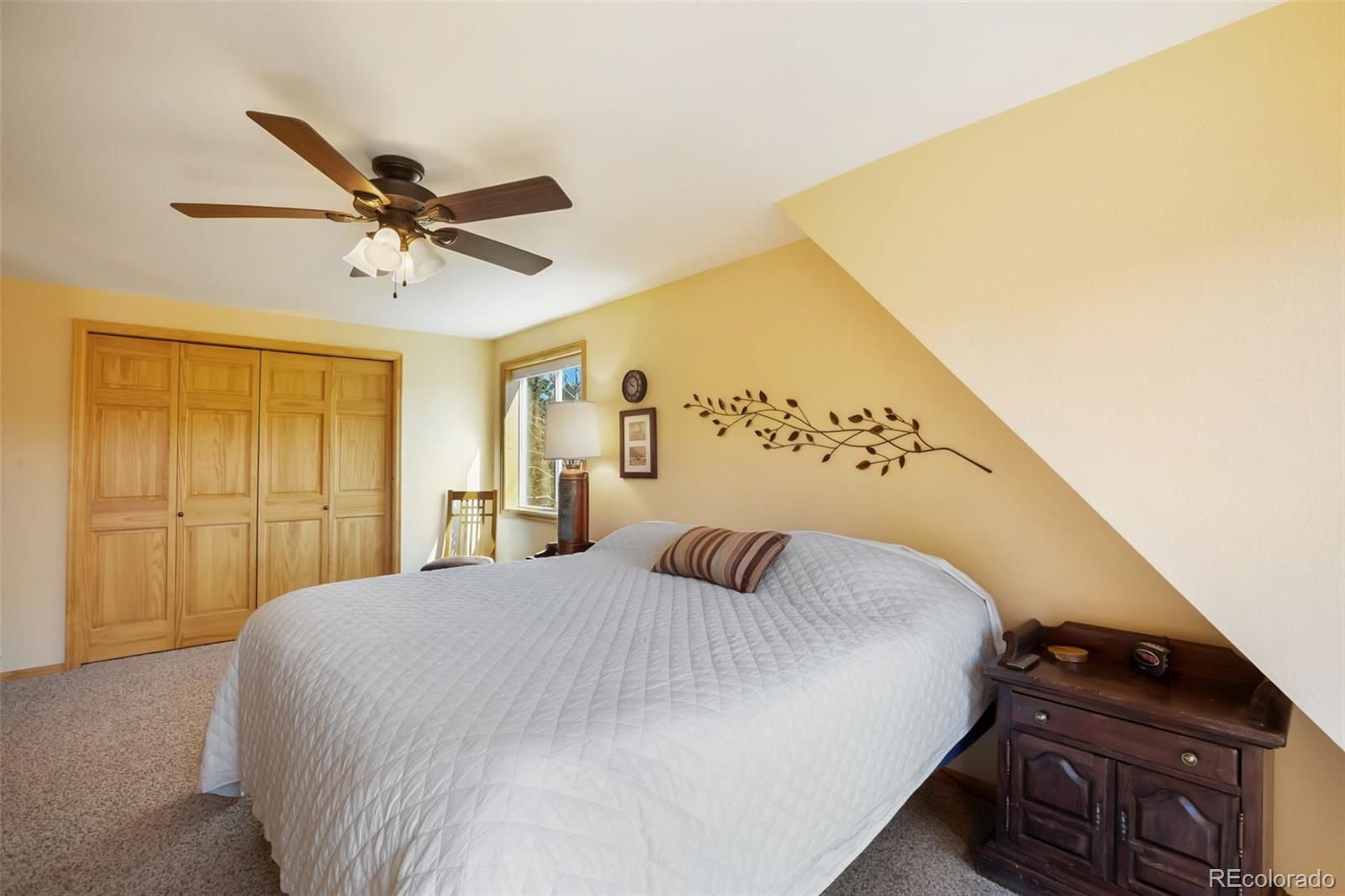MLS Image #22 for 204  kutsu ridge road,florissant, Colorado
