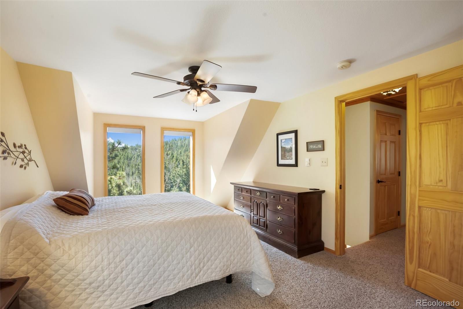 MLS Image #23 for 204  kutsu ridge road,florissant, Colorado