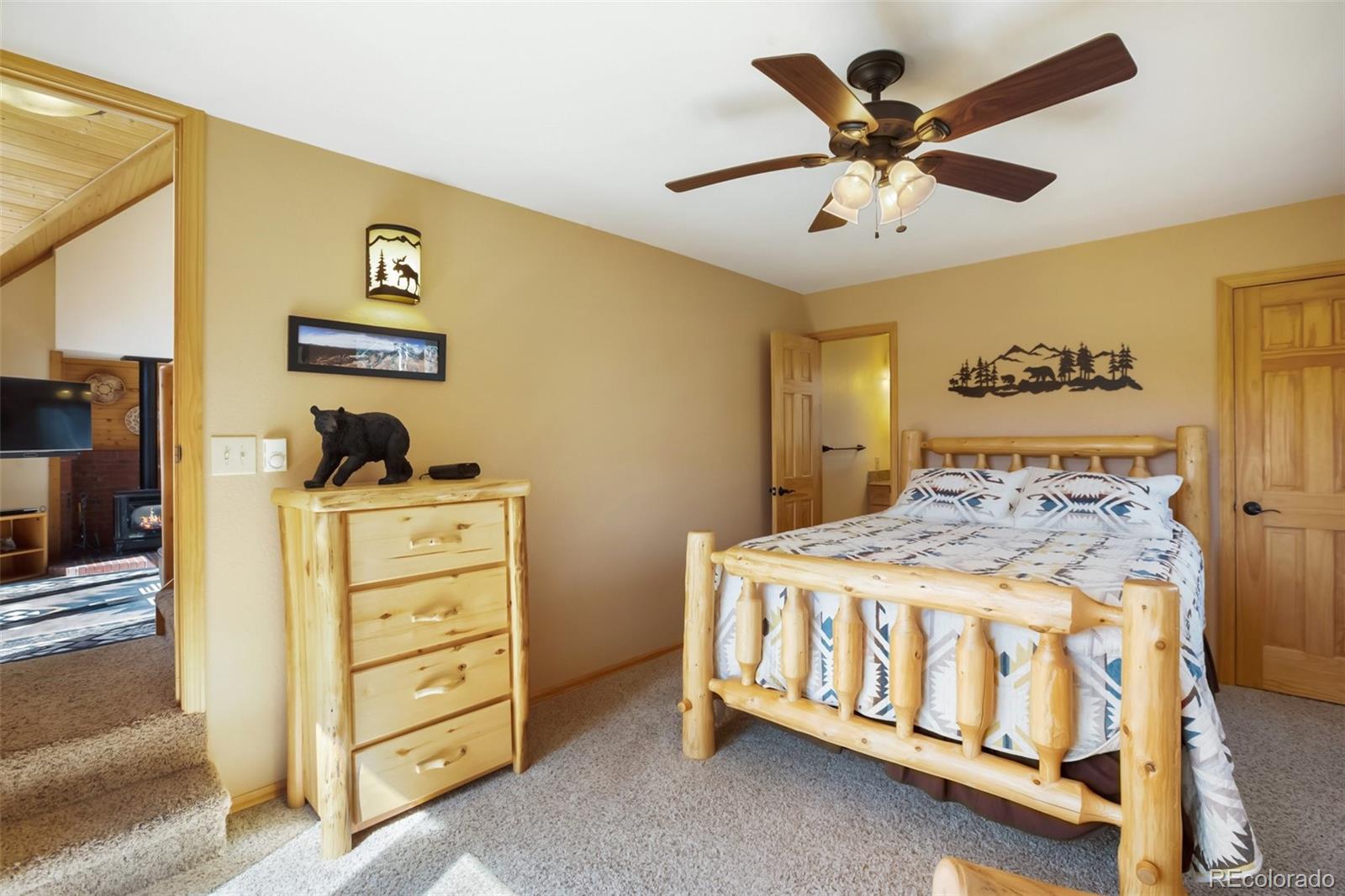 MLS Image #28 for 204  kutsu ridge road,florissant, Colorado