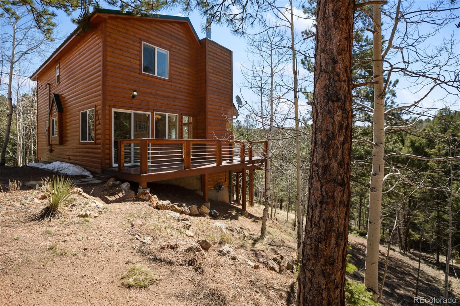 MLS Image #3 for 204  kutsu ridge road,florissant, Colorado