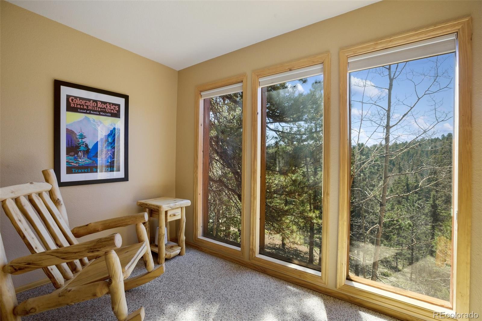MLS Image #31 for 204  kutsu ridge road,florissant, Colorado