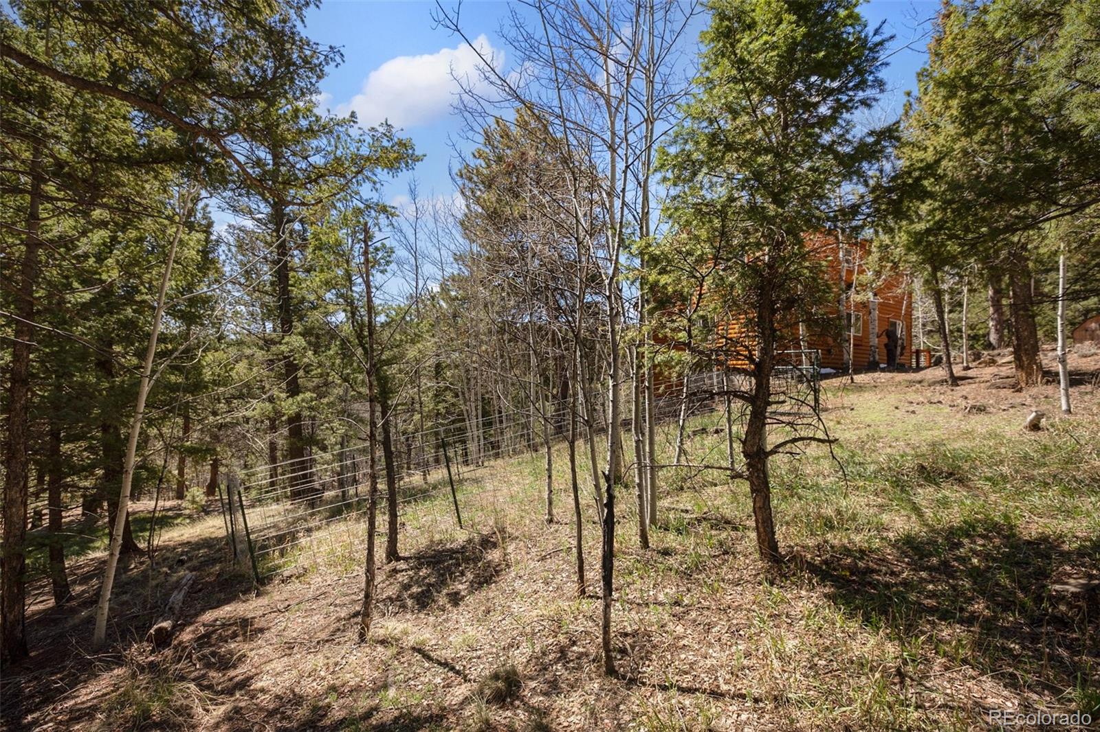 MLS Image #34 for 204  kutsu ridge road,florissant, Colorado