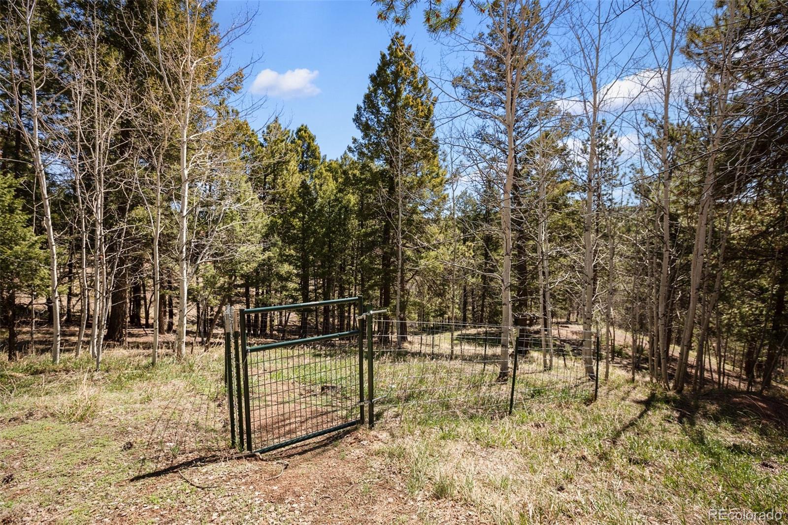 MLS Image #35 for 204  kutsu ridge road,florissant, Colorado