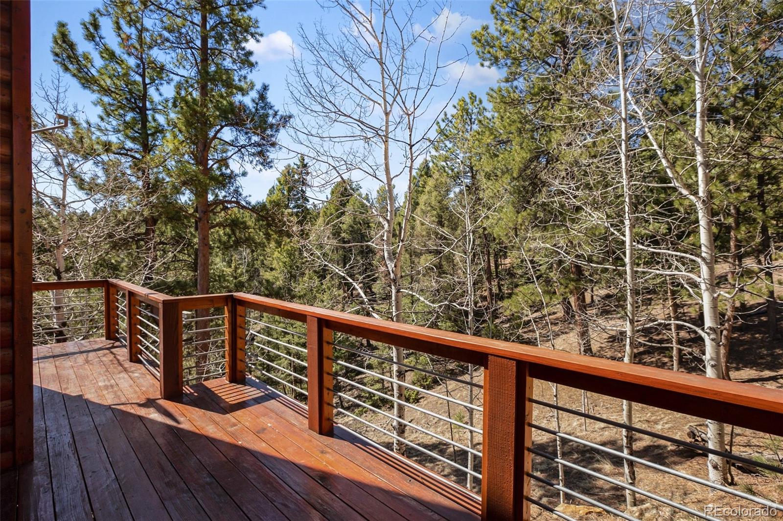 MLS Image #4 for 204  kutsu ridge road,florissant, Colorado