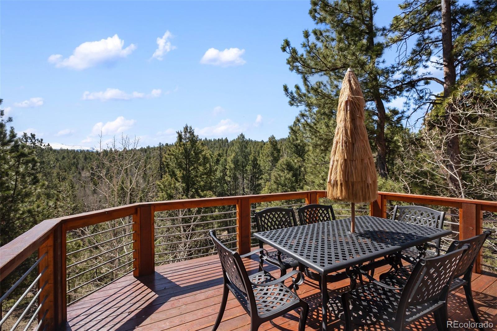 MLS Image #6 for 204  kutsu ridge road,florissant, Colorado