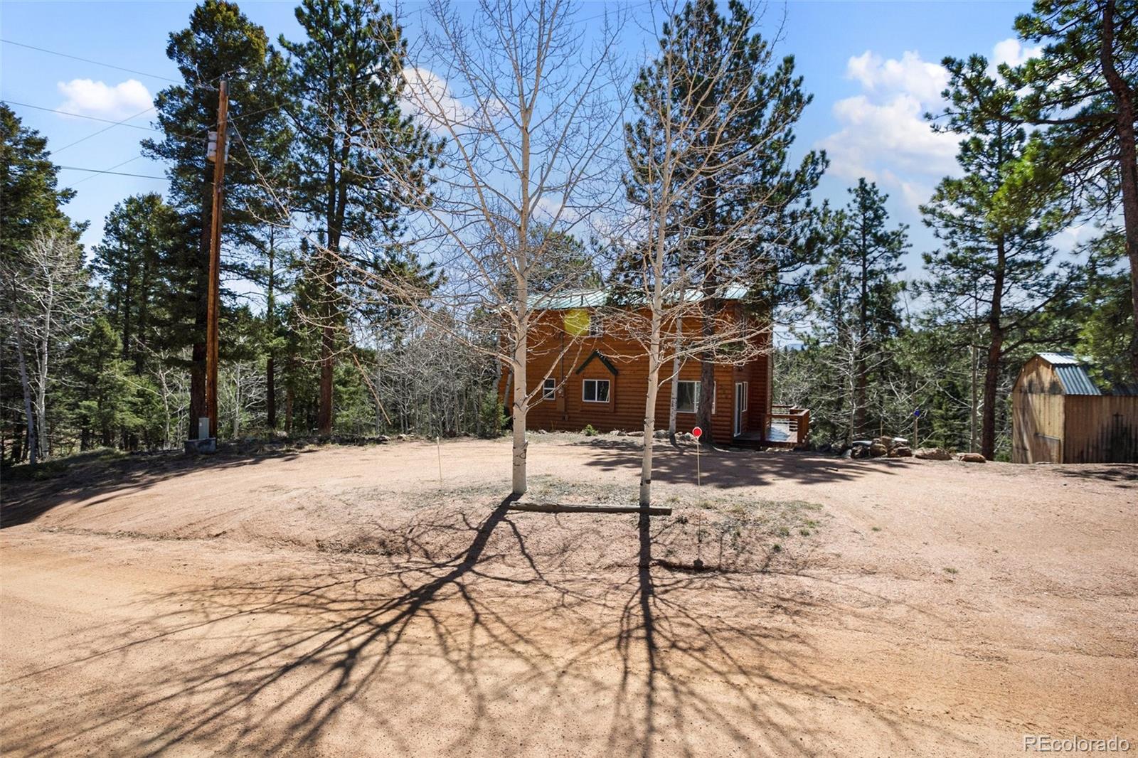 MLS Image #7 for 204  kutsu ridge road,florissant, Colorado