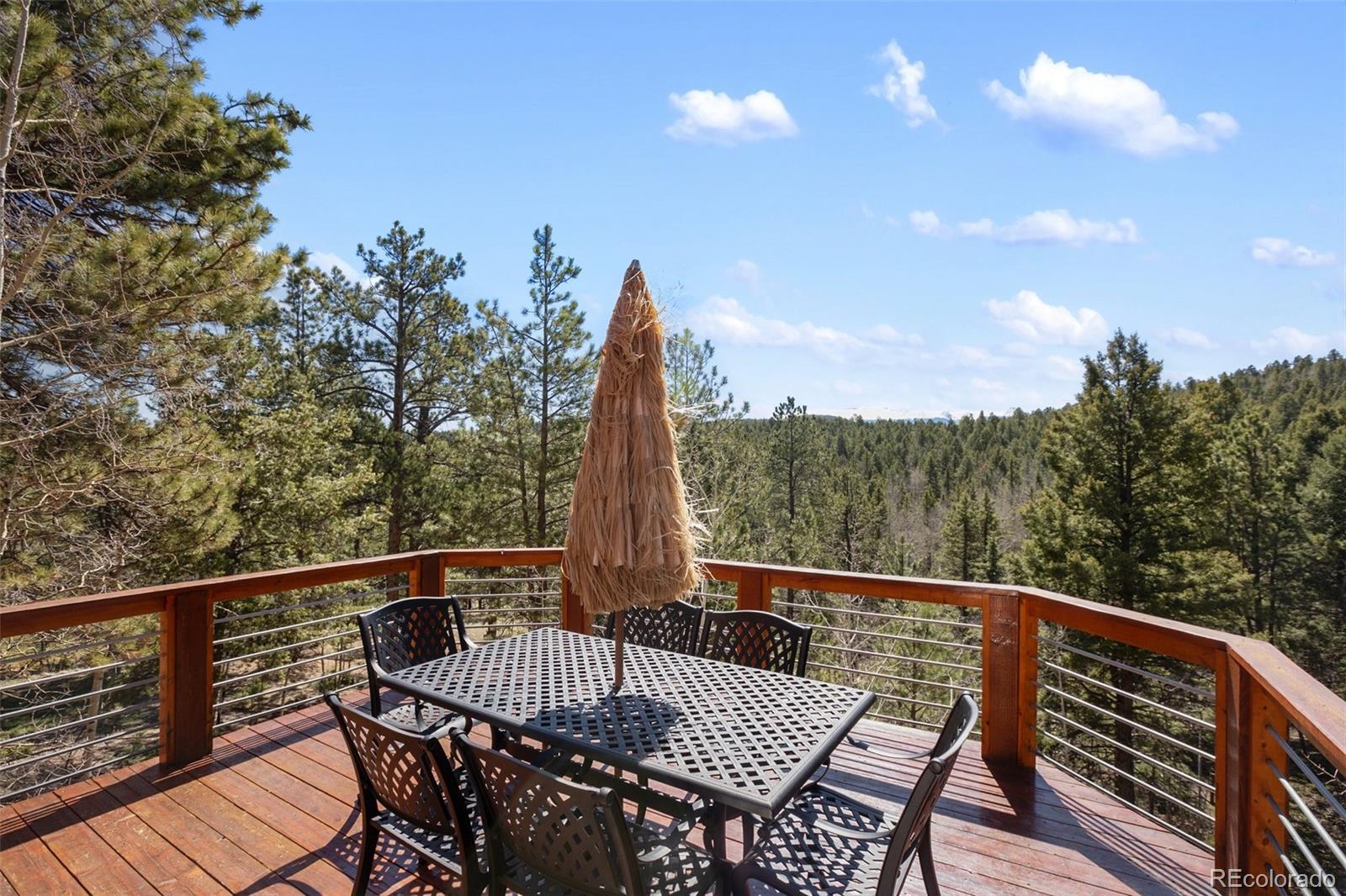 MLS Image #8 for 204  kutsu ridge road,florissant, Colorado