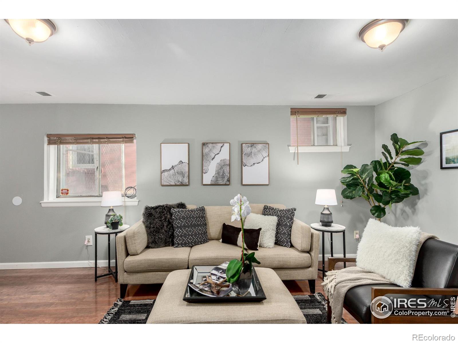MLS Image #20 for 3233  meade street,denver, Colorado
